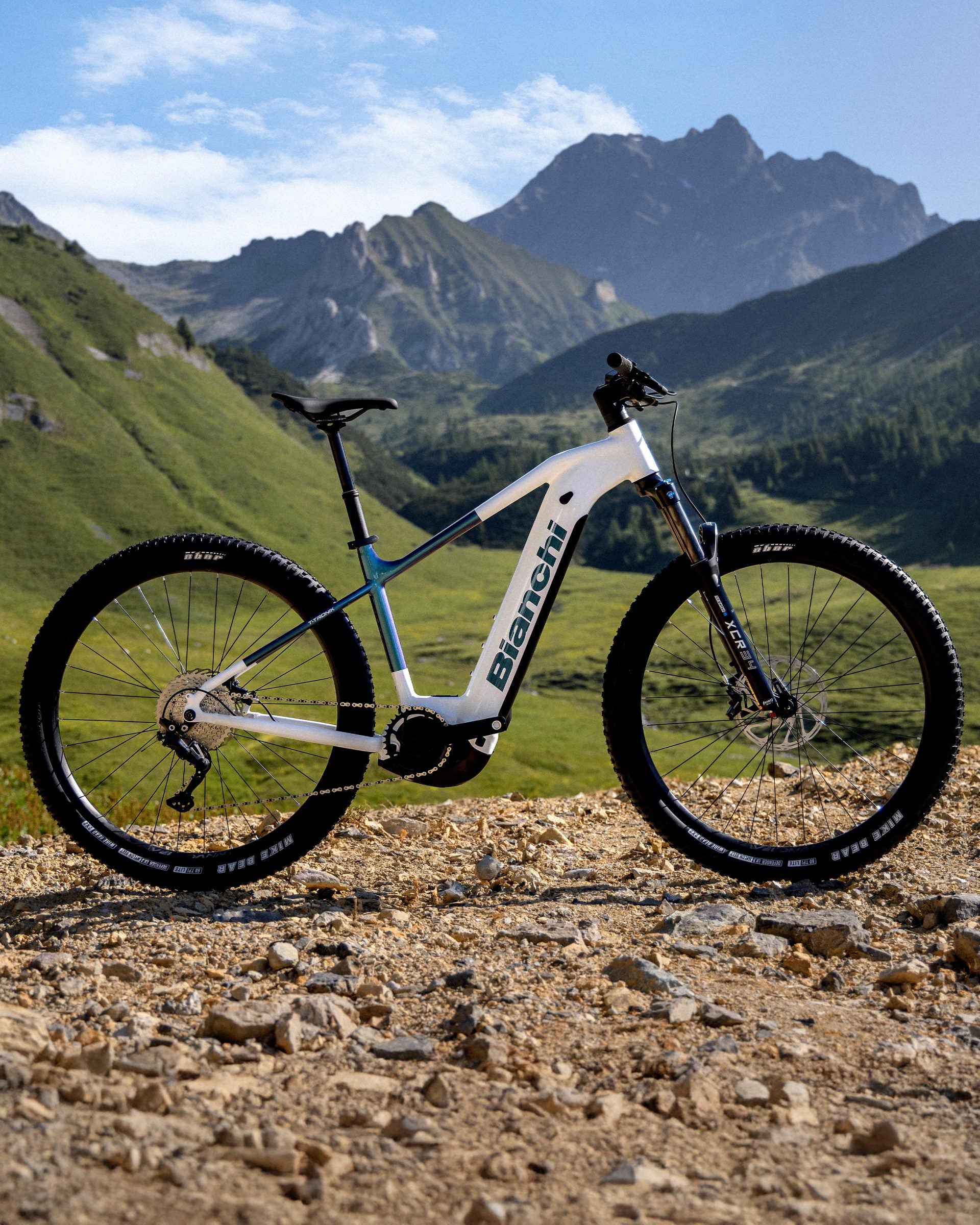 Noleggio E-bike front adulto